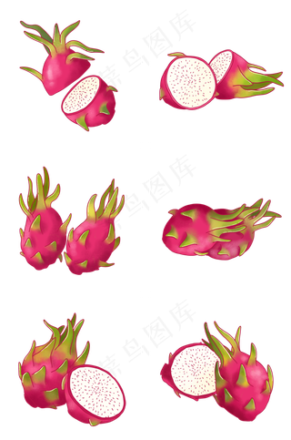 写实手绘各种火龙果插图PNG免