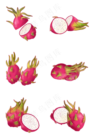 写实手绘各种火龙果插图PNG免