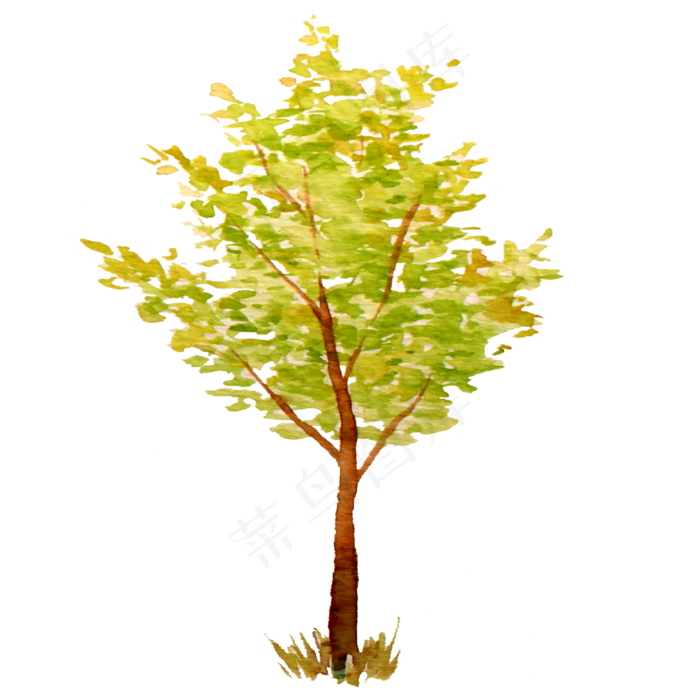 立秋秋天水彩小树