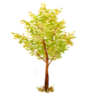 立秋秋天水彩小树