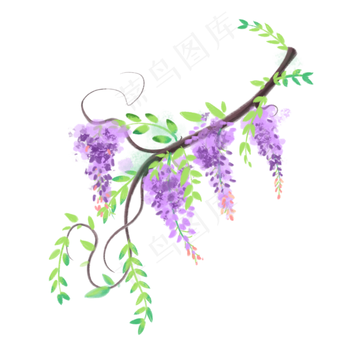 一株紫藤花(2048X2048(DPI:300))psd模版下载
