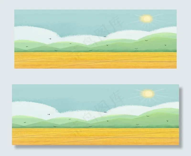 秋分稻谷成熟一片金黄色小清新