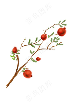 中国水墨手绘石榴树