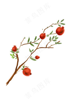 中国水墨手绘石榴树