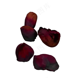 唯美花瓣情人节红玫瑰花瓣