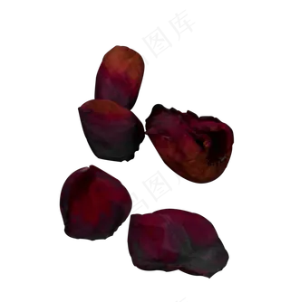 唯美花瓣情人节红玫瑰花瓣