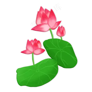 春夏荷花png素材