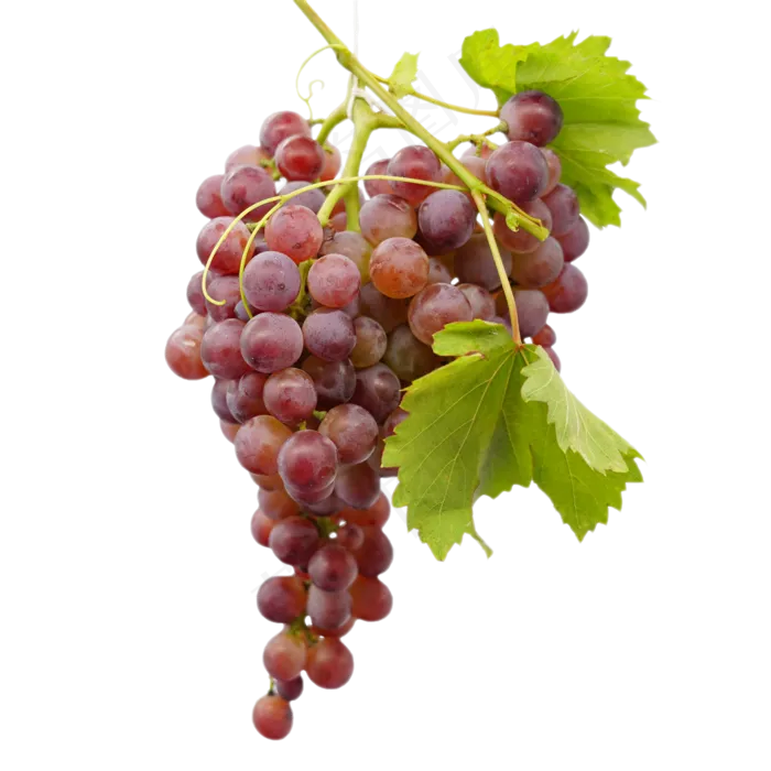 水果葡萄实物(2000*2000px 300 dpi )