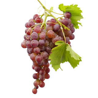 水果葡萄实物