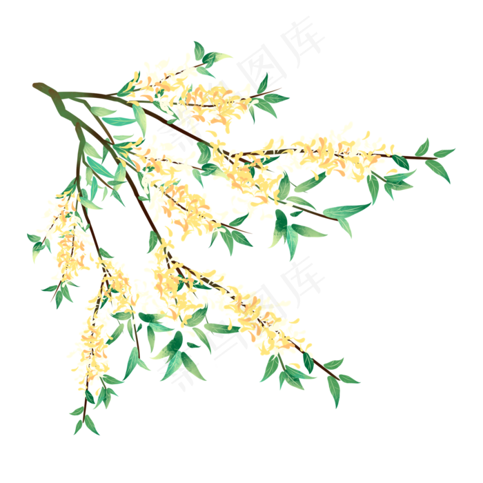 手绘水彩桂花树(2000X2000(DPI:96))psd模版下载