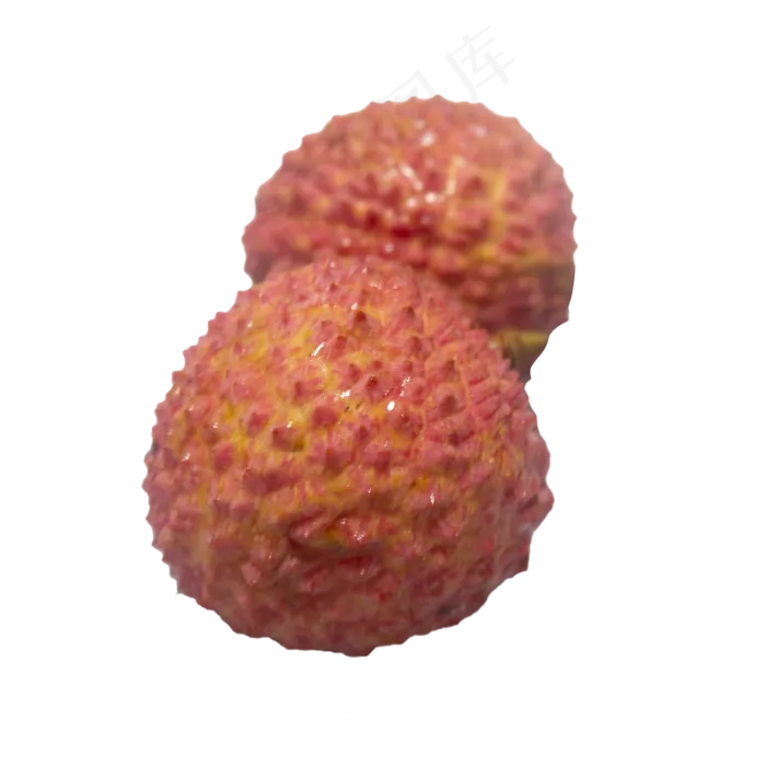 桂味荔枝(2500X2500(DPI:300))