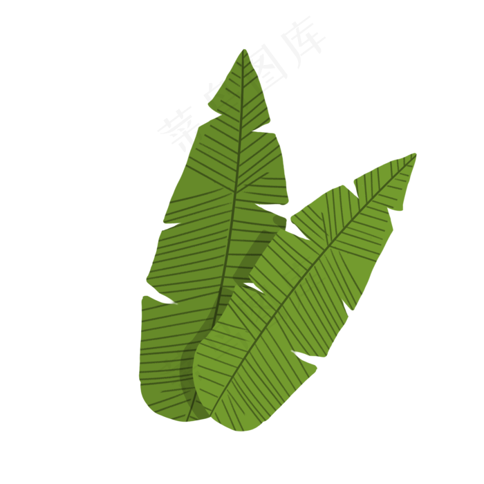 手绘绿色png植物(2000X2000(DPI:96))psd模版下载