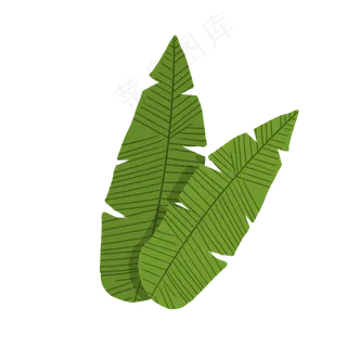 手绘绿色png植物