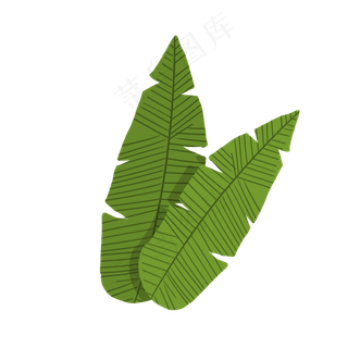 手绘绿色png植物