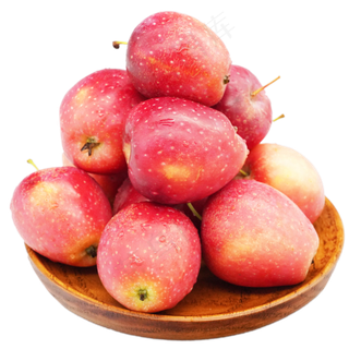 木盘红色鸡心果