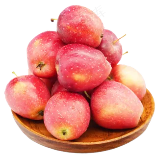 木盘红色鸡心果