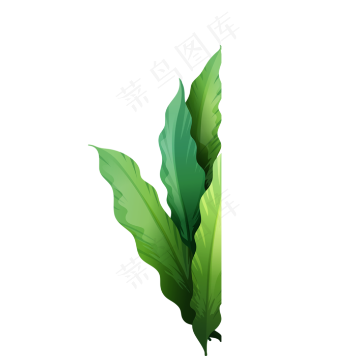 春天绿色植物下载