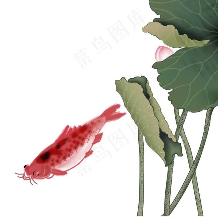 古风荷塘鲤鱼莲花(2000X2000(DPI:300))psd模版下载