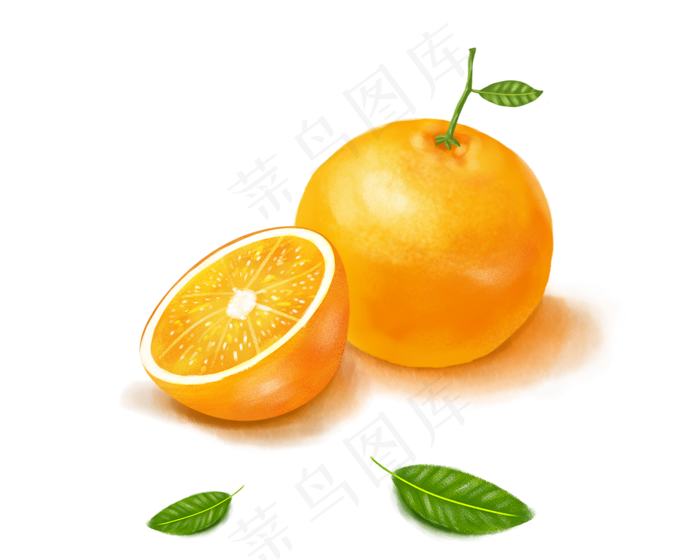 水果主题之橙子卡通