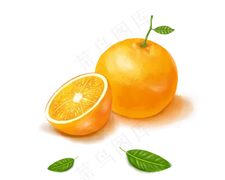 水果主题之橙子卡通