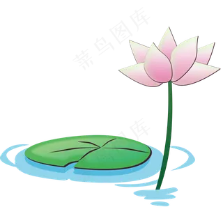 清水荷花png素材