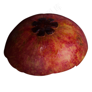 实拍果林果树水果果实