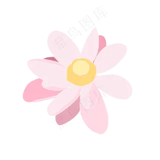 荷花扁平风水彩中国风桃花粉紫色