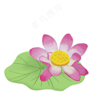 绿色生态荷花免抠图