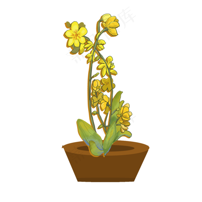 春节迎春花植物盆栽,免抠元素(2000*2000px 300 dpi )psd模版下载
