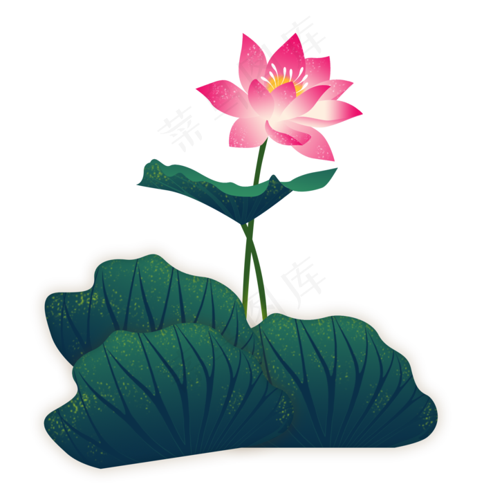 荷花红黄色荷花荷叶