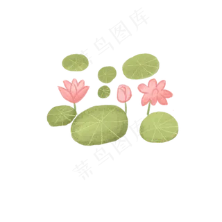 春夏可爱荷花荷叶手绘小清新