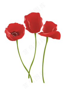 红色禁毒罂粟花,免抠元素