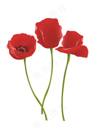 红色禁毒罂粟花,免抠元素
