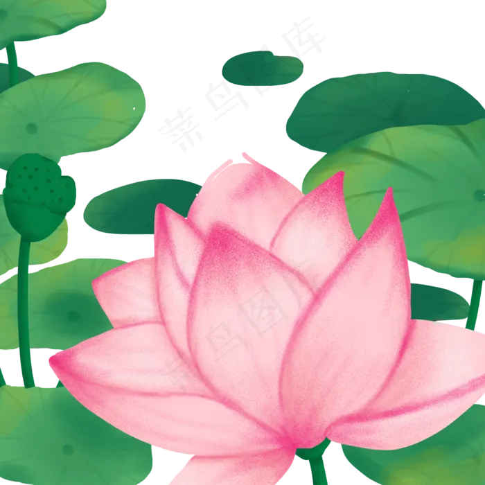 盛开的荷花漂亮极了(2000X2000(DPI:300))psd模版下载
