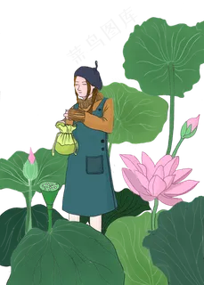 绿色荷花荷叶 绿色荷花荷叶