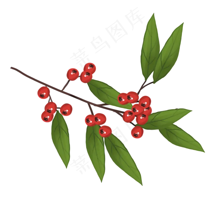 手绘水果png素材(2000X2000(DPI:72))psd模版下载