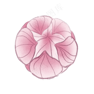 卡通莲花PNG下载