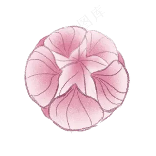 卡通莲花PNG下载