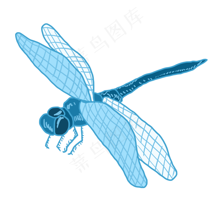 夏天处暑野外蜻蜓