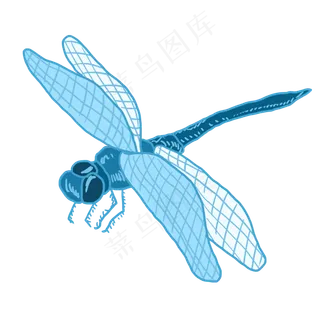 夏天处暑野外蜻蜓