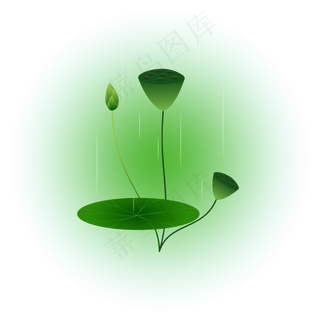 夏日荷花清新精美