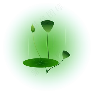 夏日荷花清新精美