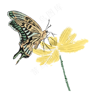 蝴蝶翅膀蝴蝶黄花PNG,免抠元素