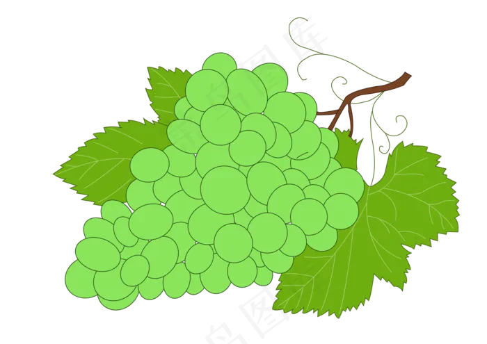 绿色提子(3508*2481px 300 dpi )ai矢量模版下载
