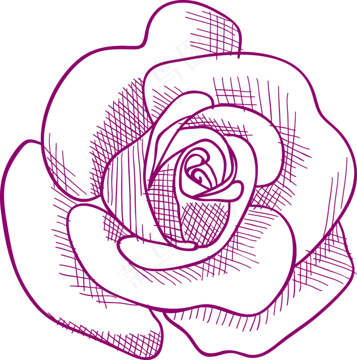 矢量玫瑰花手绘婚礼