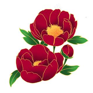 新中式国潮风植物牡丹花