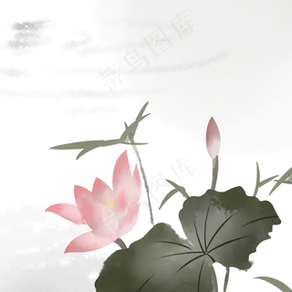 中国风水墨荷花