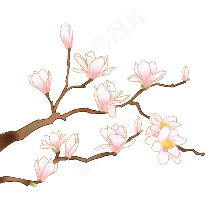 中国风玉兰花(2000X2000(DPI:300))psd模版下载