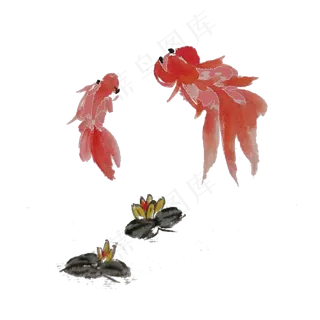 两条水墨金鱼手绘