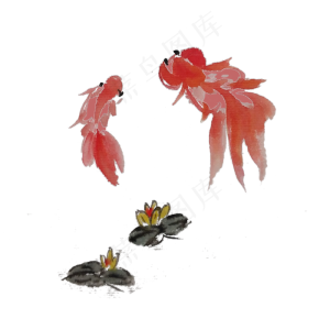 两条水墨金鱼手绘